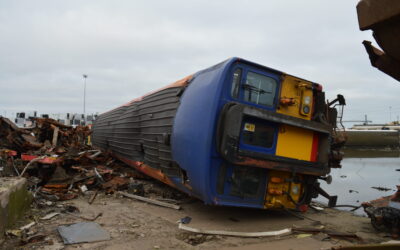 Class 455 Rail Tags Cancelled